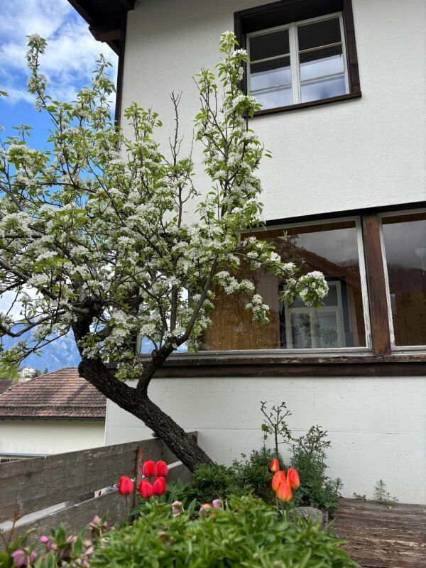 charmantes 7.5-Zi. Liebhaber-Einfamilienhaus